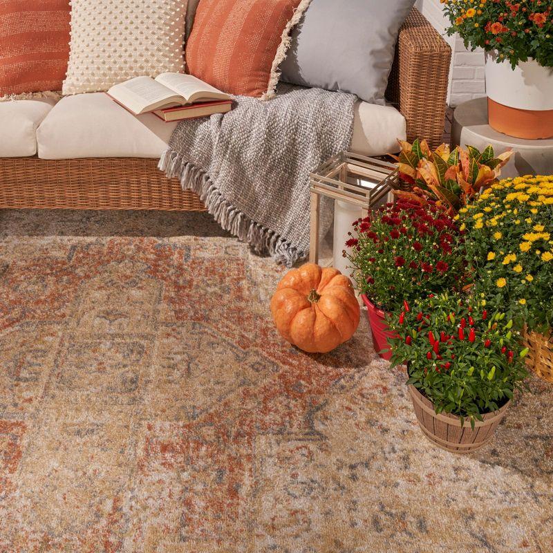 Nourison Essentials Persian Vintage Indoor Outdoor Area Rug