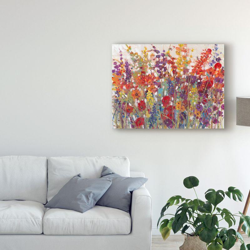Trademark Fine Art -Tim Otoole 'Variety Of Flowers Ii' Canvas Art - 24''x32''