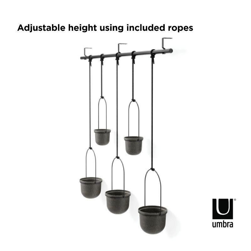 Triflora Large Hanging Planter