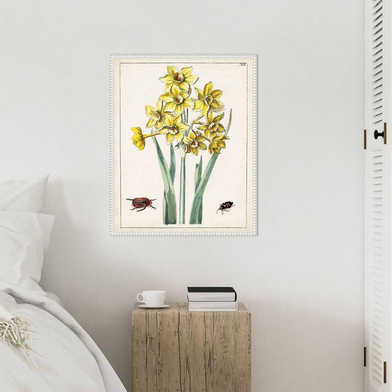 Amanti Art Dutch Florals III Framed Canvas Wall Art Print