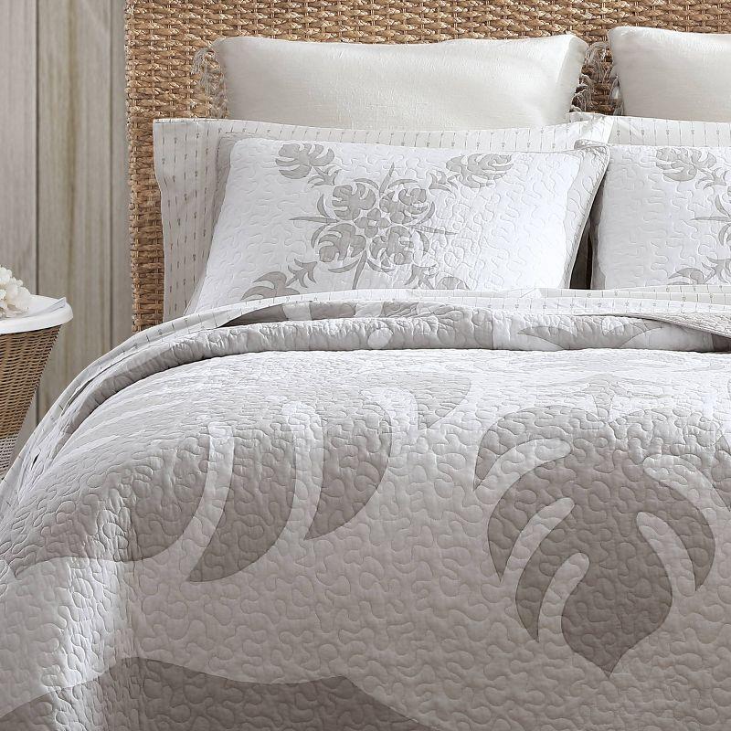 Molokai Gray Reversible Cotton King Quilt Set