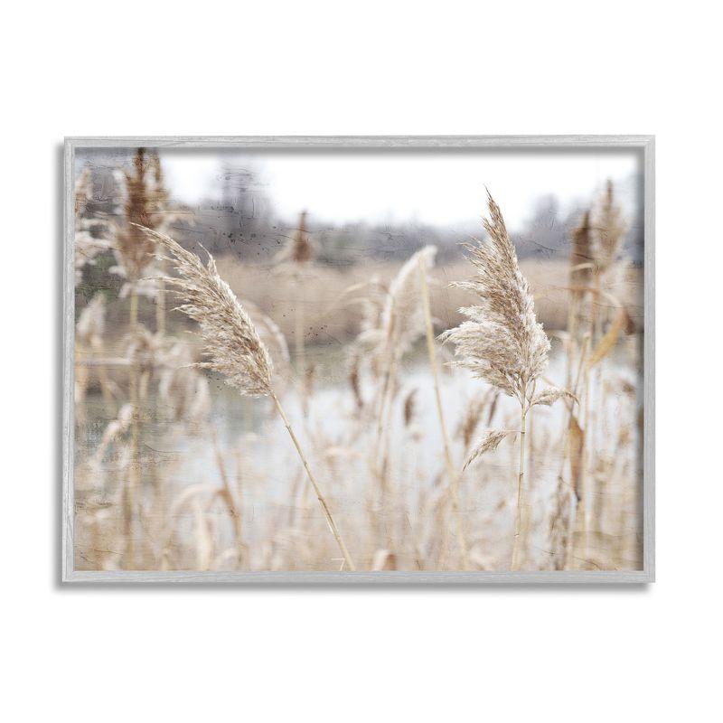 Gray Framed Pampas Grass Reeds Lakeside Wall Art