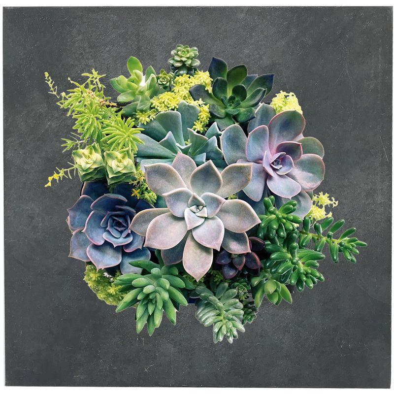 Modern Home Living Wall Galvanized Steel/Zinc Succulent Planter