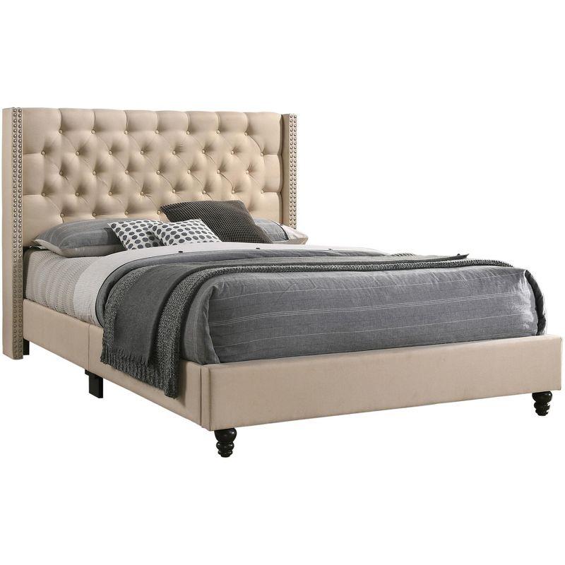 Elegant Beige Velvet Tufted Queen Bed with Nailhead Trim