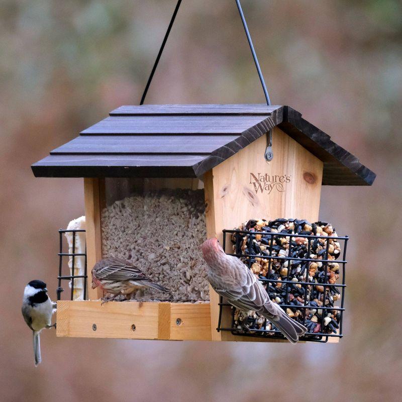 Nature's Way Bird Products 3qt Cedar Hopper Feeder with Suet Cages 8.5": Attracts Cardinals & Woodpeckers, Easy Clean