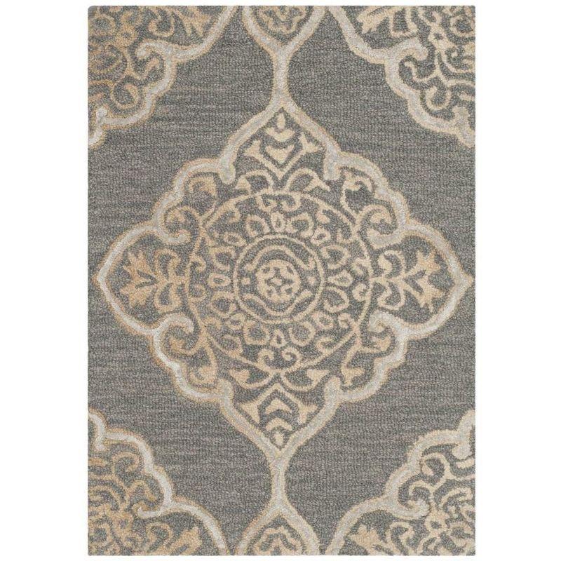 Dip Dye DDY510 Hand Tufted Area Rug  - Safavieh