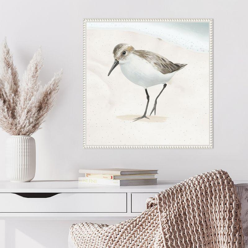 Amanti Art Sandpiper on the Beach II by Lucca Sheppard Canvas Wall Art Print Framed 22 x 22-in.