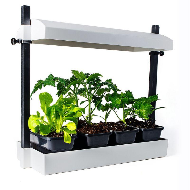 Sunblaster Growing Kit