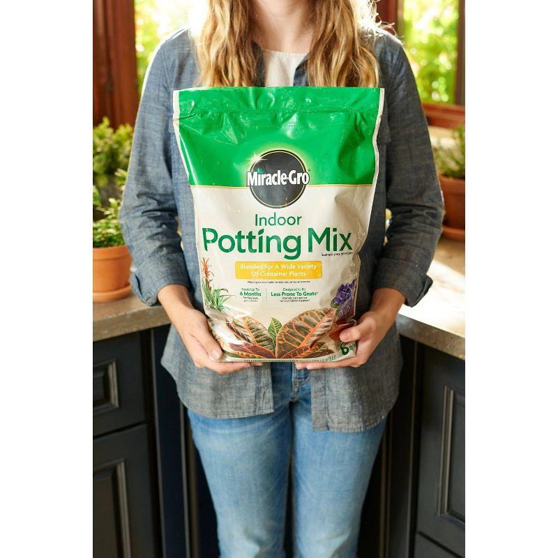 Miracle-Gro 6qt Indoor Potting Mix