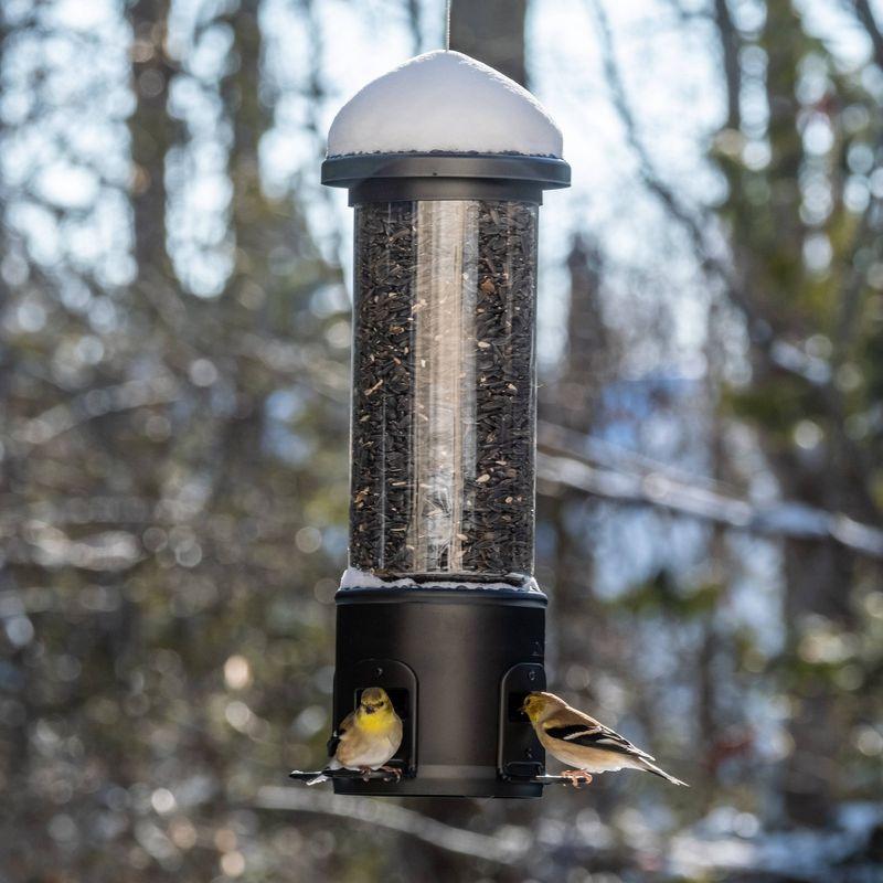 Nature's Way Bird Products 3.1qt Squirrel Shield Metal Feeder 17.25"