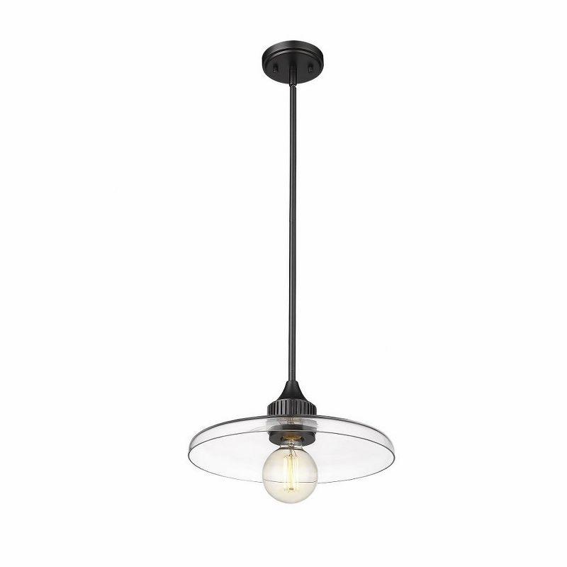 Z-Lite Paloma 1 - Light Pendant in  Matte Black