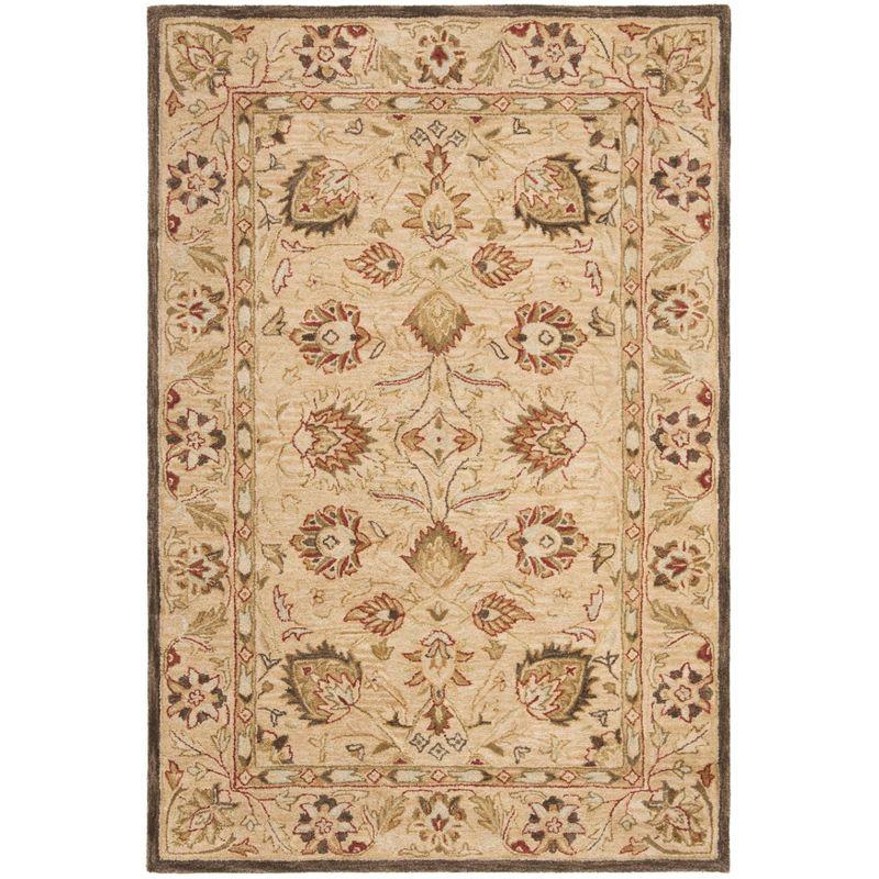 Anatolia AN512 Hand Tufted Indoor Area Rug - Beige/Beige - 6'x9' - Safavieh