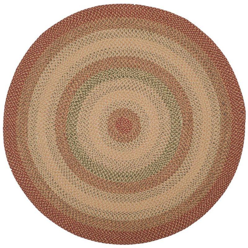 Braided BRD303 Hand Woven Area Rug - Rust/Multi - 3' round - Safavieh.