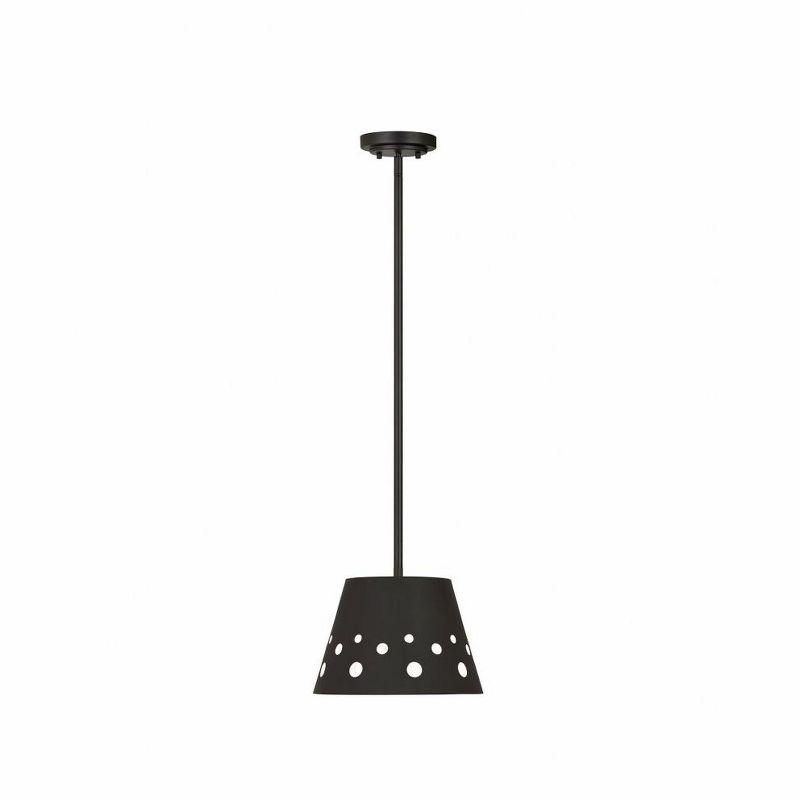 Z-Lite Katie 1 - Light Pendant in  Matte Black