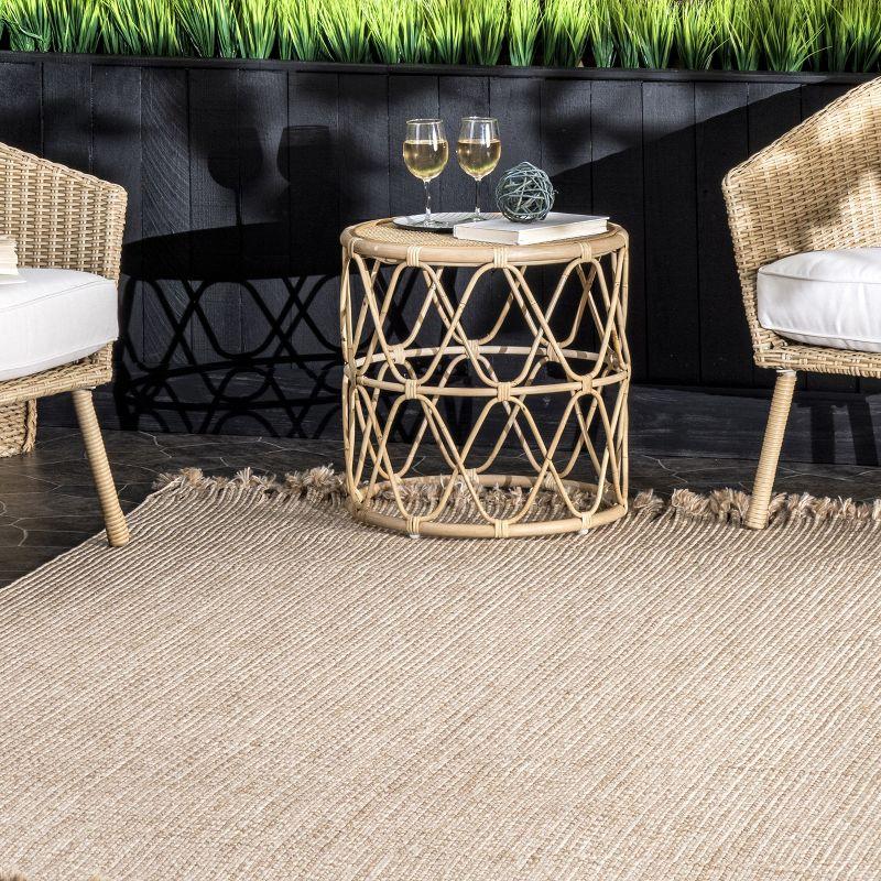 Nuloom Braided Courtney Tassel Indoor/Outdoor Area Rug, 3' x 5', Tan