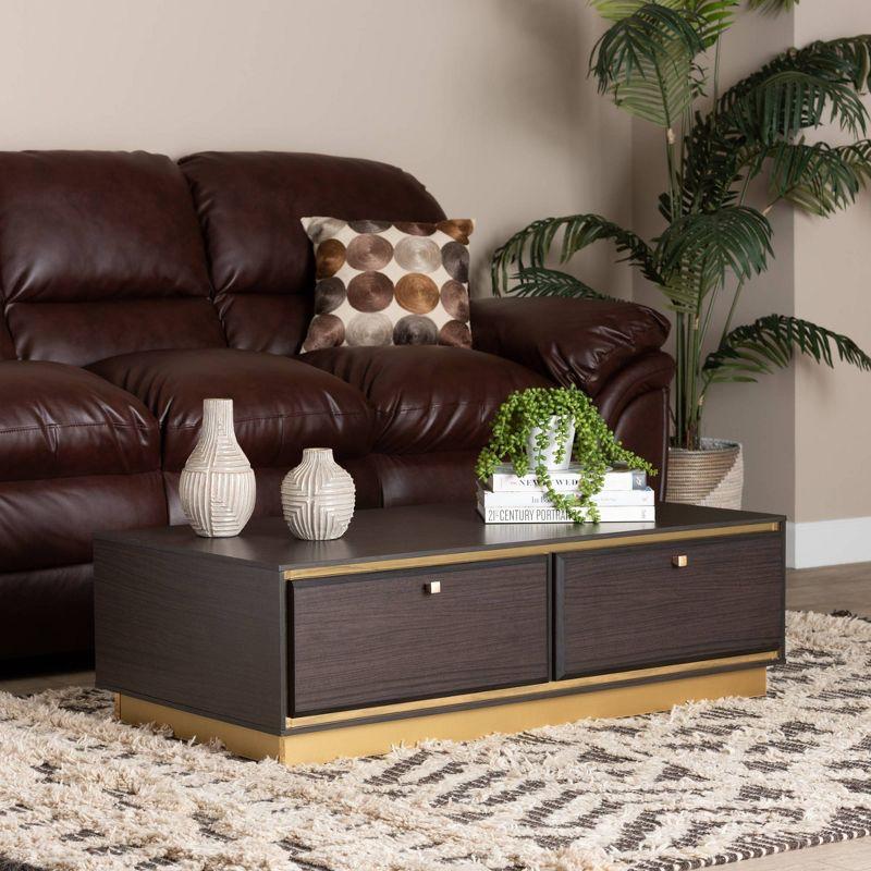 Modern Glamour Dark Brown Wood and Gold Metal Storage Coffee Table