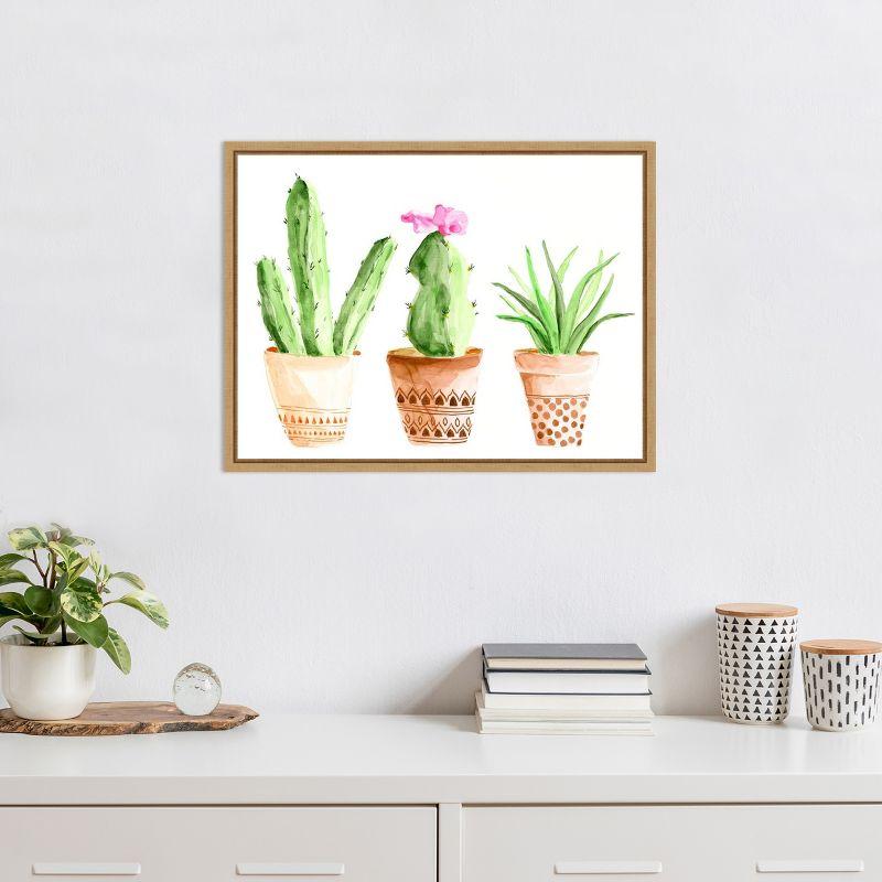 Amanti Art Patterned Succulent Pots II by Regina Moore Canvas Wall Art Print Framed 24 x 18-in.