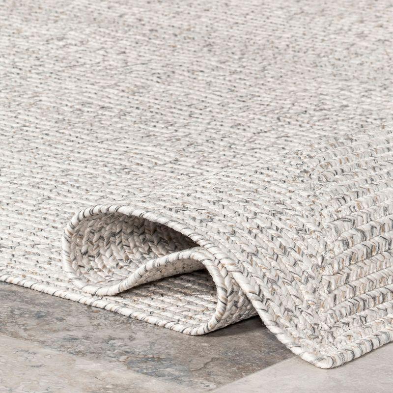 Nuloom Wynn Braided Indoor/Outdoor Area Rug