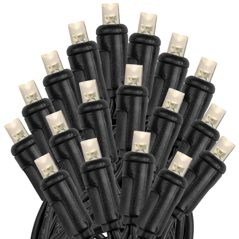 Novelty Lights Warm White 100 LED Christmas Mini Light Set (Black Wire, 34 Feet)