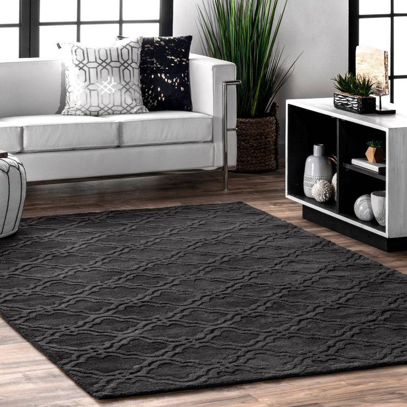 3'x5' Hand Tufted Wilhelmina Area Rug Charcoal - nuLOOM