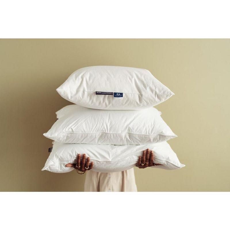 Lincove Cloud Canadian Down Luxury Sleeping  Pillow - 625 Fill Power, 500 Thread Count Cotton Sateen Shell, King - Soft, 2 Pack