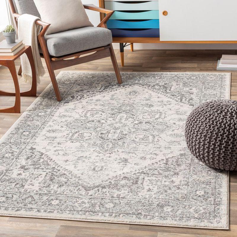 Mark & Day Chartres Woven Indoor Area Rugs Light Gray Gray