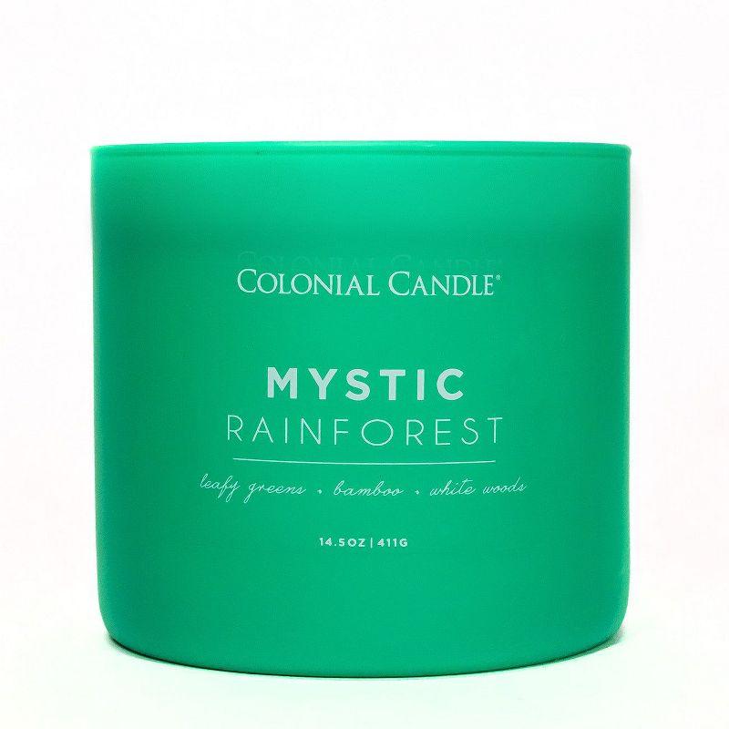 Pop of Color 3-Wick Mystic Rainforests Scented Jar Candle 14.5oz - Colonial Candle