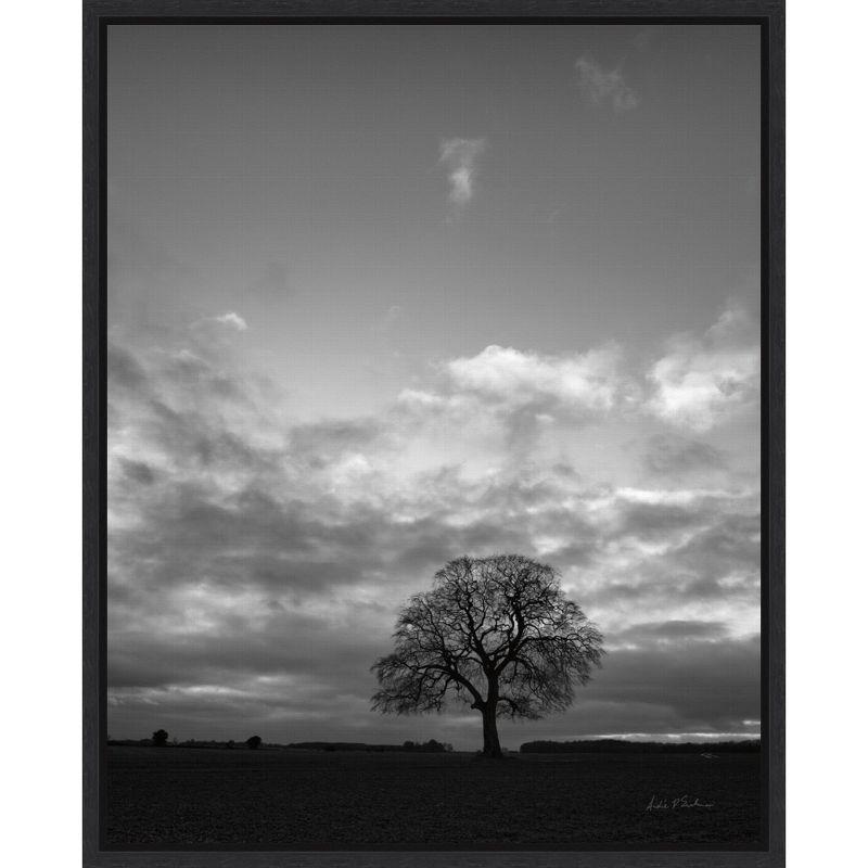 Horizon Tree Black and White Canvas Print with Black Floater Frame