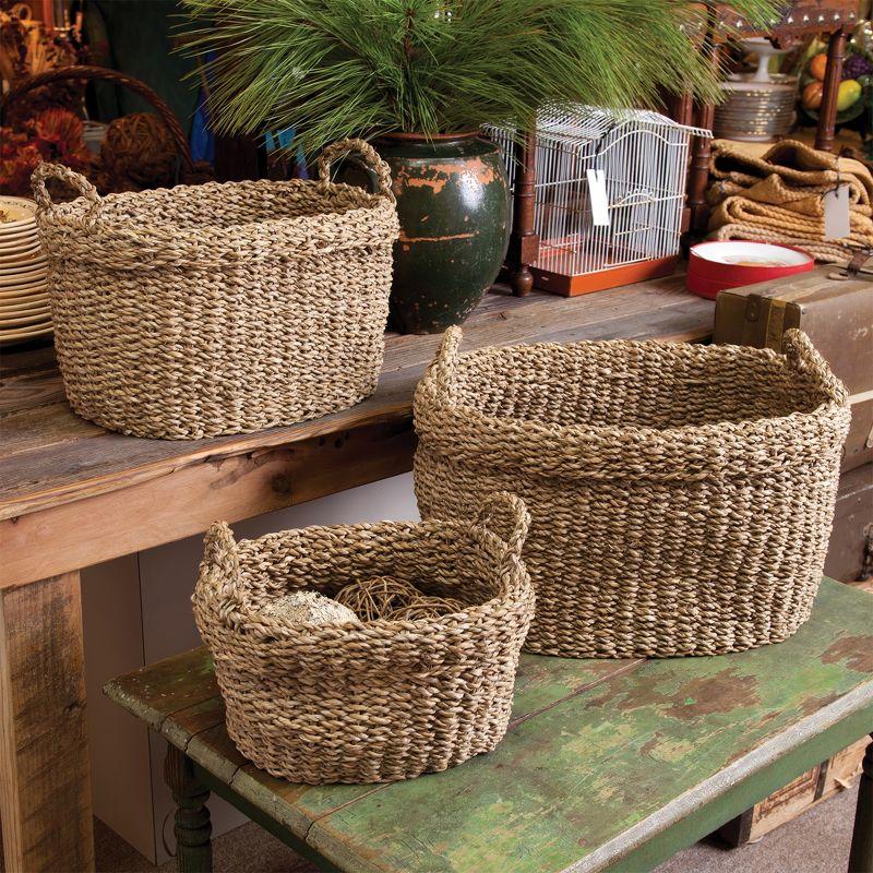 Plum & Post Seagrass Oval Baskets With Handles & Cuffs Set of 3
