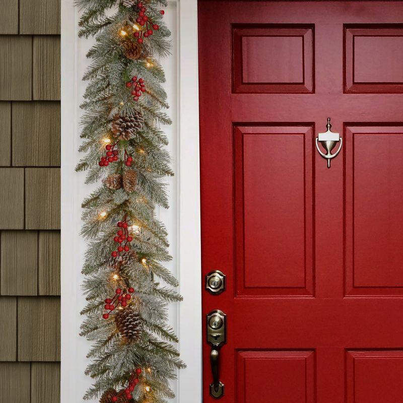 National Tree Company Pre-Lit Artificial Christmas Garland, Green, Snowy Bristle Berry, White Lights, With Pine Cones, Berry Clusters, Plug In,9 Feet