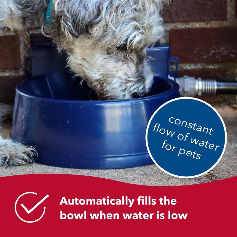 Coastal Pet Bergan Auto-Wata - Backyard & Patio Automatic Water Bowl - Navy - 1.5 qts / 48 oz