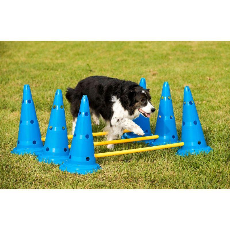 Midlee Plastic Agility Training Equipment with Carrying Case