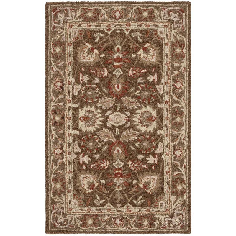 Anatolia AN512 Hand Tufted Indoor Accent Rug - Brown/Green - 3'x5' - Safavieh