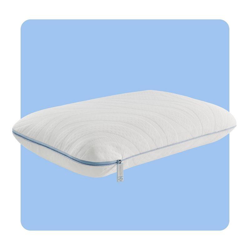 Sealy Dreamlife Memory Foam Pillow