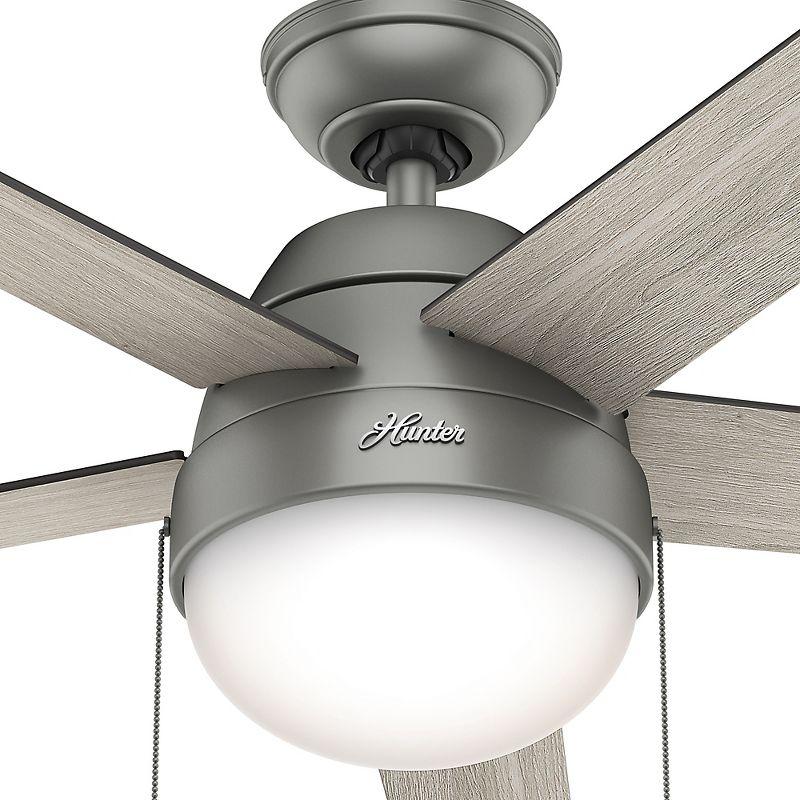 Hunter Fan 46" Anslee Standard Ceiling Fan with Pull Chain and Light Kit Included