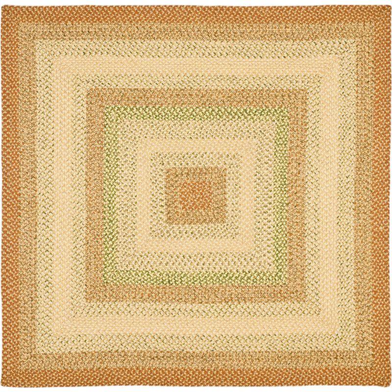 Safavieh Handwoven Multicolor Braided 5' Square Area Rug