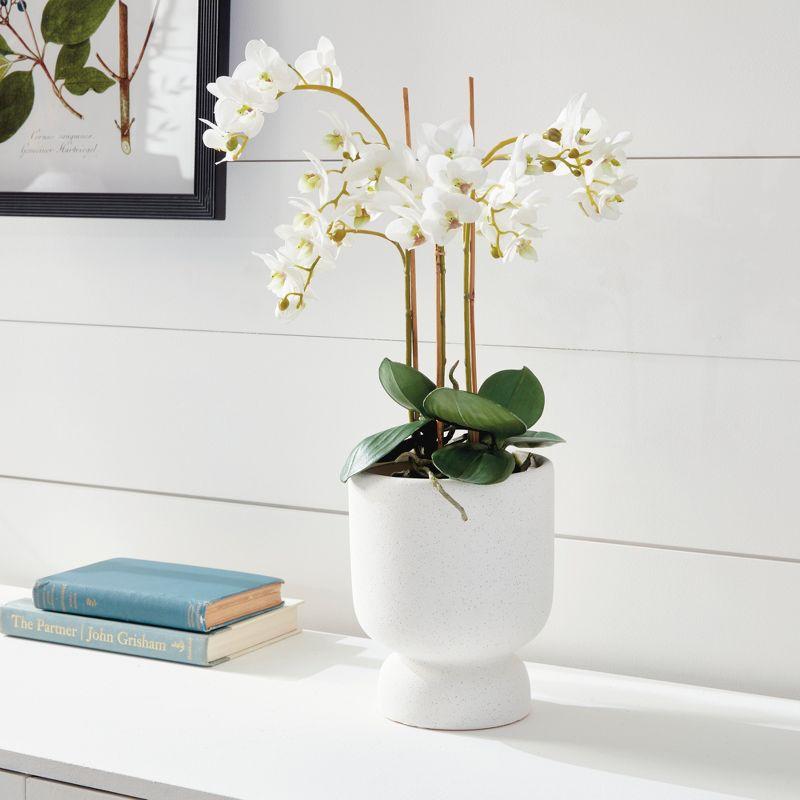 Plum & Post Phalaenopsis Orchid Faux (Fake) Drop-In 20"