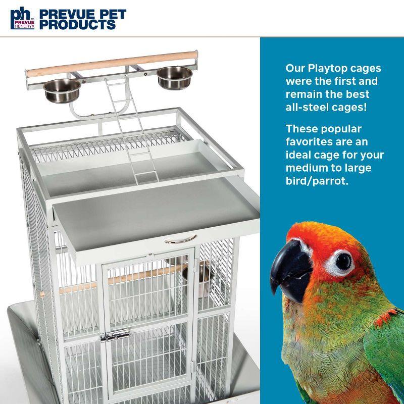 Prevue Pet Products Wrought Iron Select Bird Cage Pewter Hammerstone 3151BLK