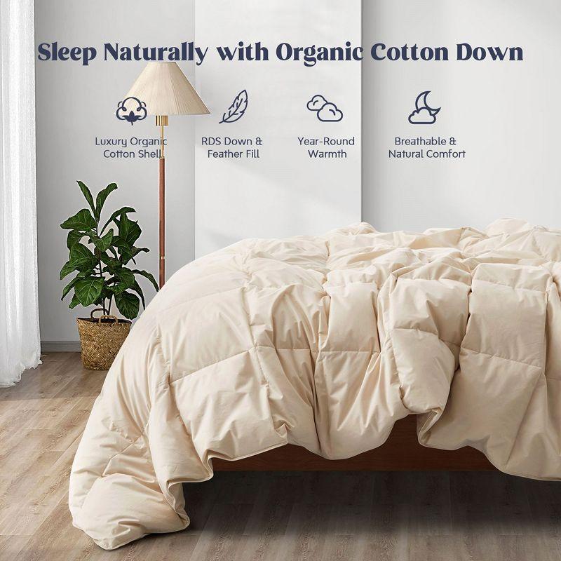 Puredown All Season Organic Cotton Down Comforter - 100% Natural, Chemical-Free, Medium Warmth Duvet Insert, Off-white, Full/Queen