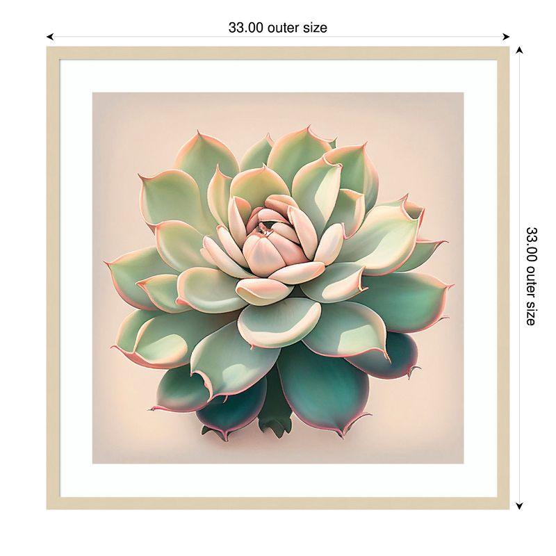 Amanti Art Echeveria Pulidinis by Incado Wood Framed Wall Art Print