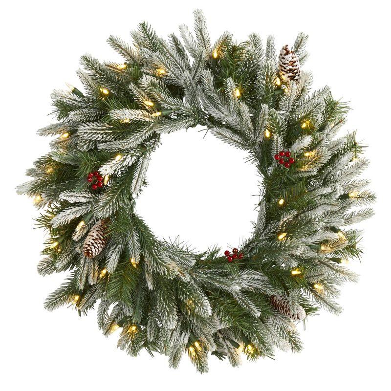 24" Pre-lit Flocked Pine Artificial Christmas Wreath with Pinecones