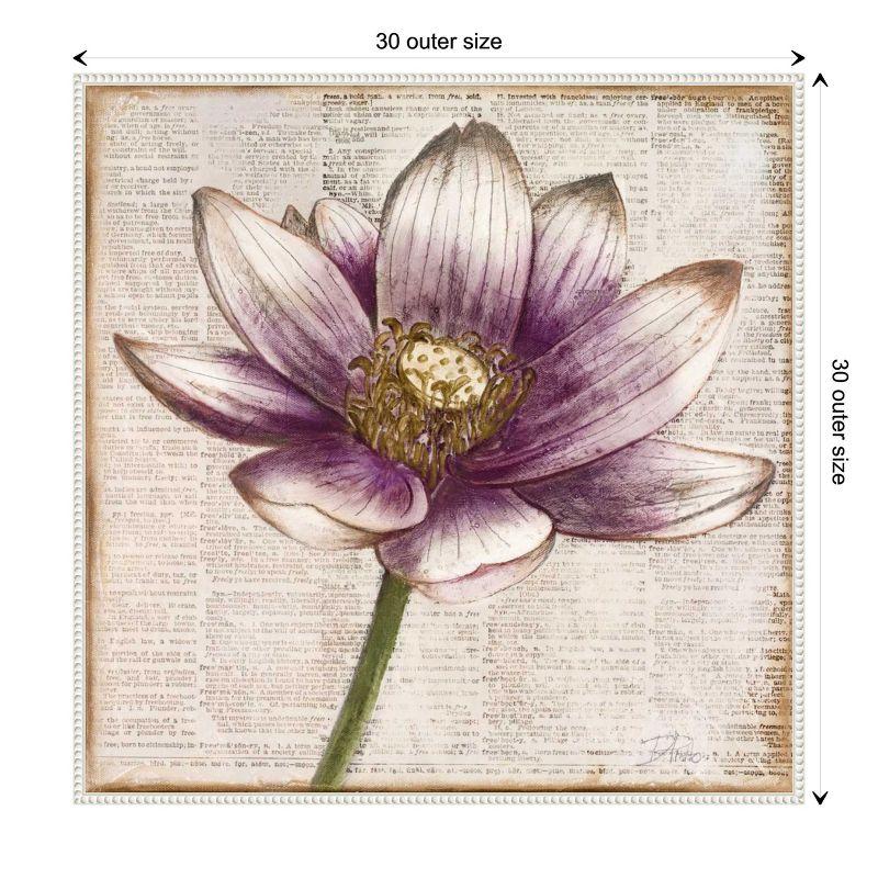 Amanti Art Defined Lotus Flower II by Patricia Pinto Canvas Wall Art Print Framed 30 x 30-in.