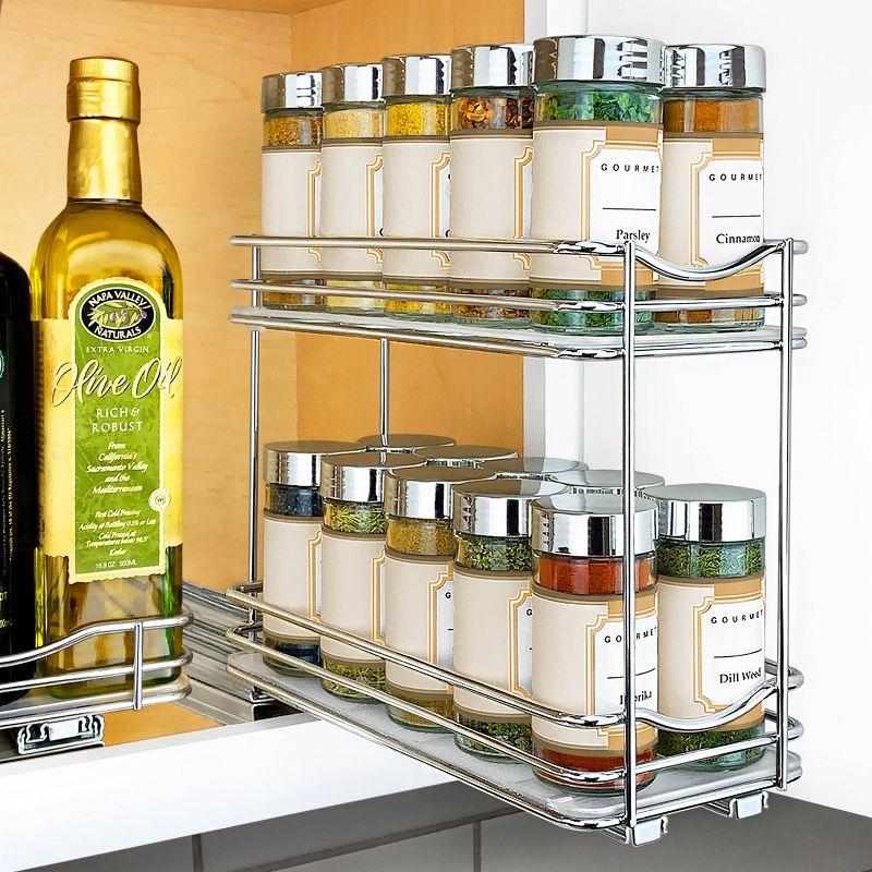 LYNK PROFESSIONAL® Pull Out Spice Rack Organizer for Cabinet - 2 Tier, Chrome