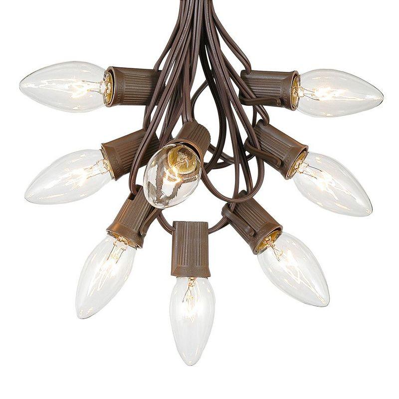 Novelty Lights 25 Feet C9 Clear Christmas String Light Set, Vintage Holiday Hanging Light Set, Brown Wire