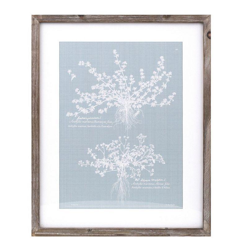 Melrose Framed Encyclopedia Floral Outline (Set of 4)