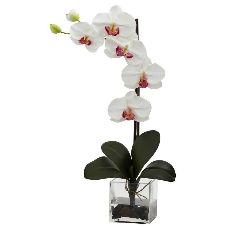 Nearly Natural Giant Phalaenopsis Orchid with Vase Arrangement, Orchid