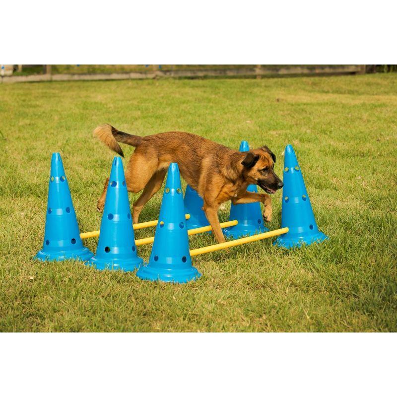 Midlee Plastic Agility Training Equipment with Carrying Case