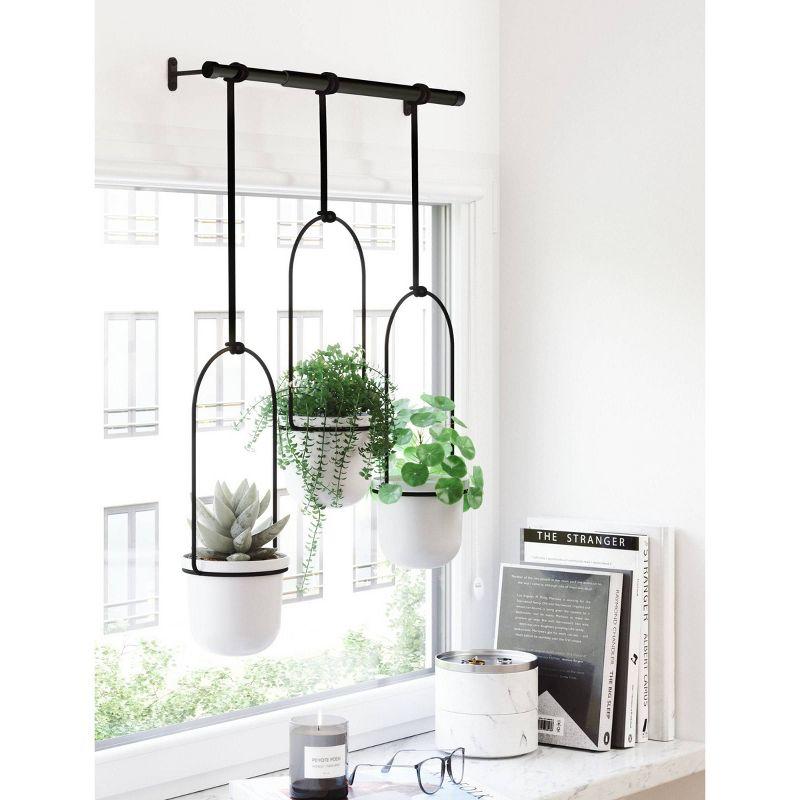 Tri-Flora Hanging Planter