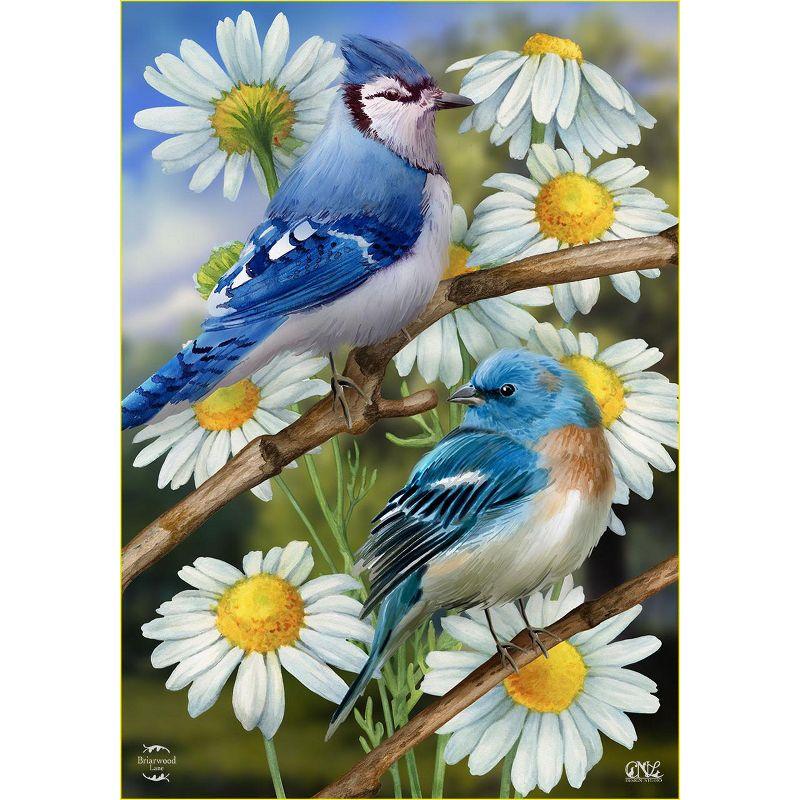 Briarwood Lane Spring House Flag 40x28 For Outdoor Birds and Daisies For Spring House Flag