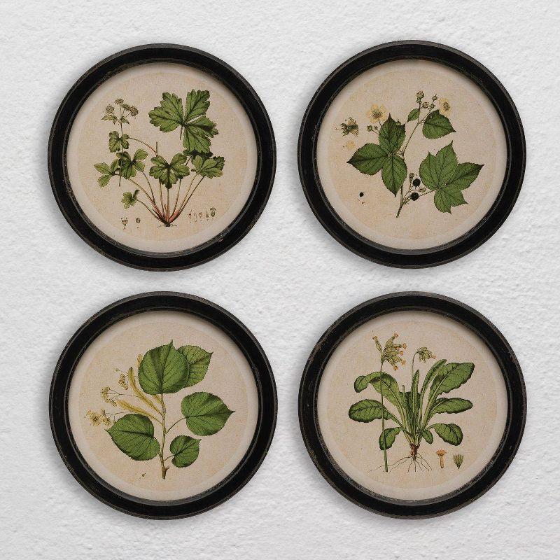 (Set of 4) 13.75" Wood Framed Wall Art Sets with Vintage Reproduction Botanical Print - Storied Home: Elegant Home Decor